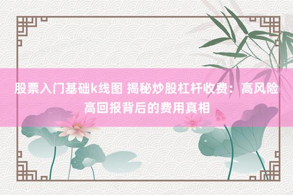 股票入门基础k线图 揭秘炒股杠杆收费：高风险高回报背后的费用真相