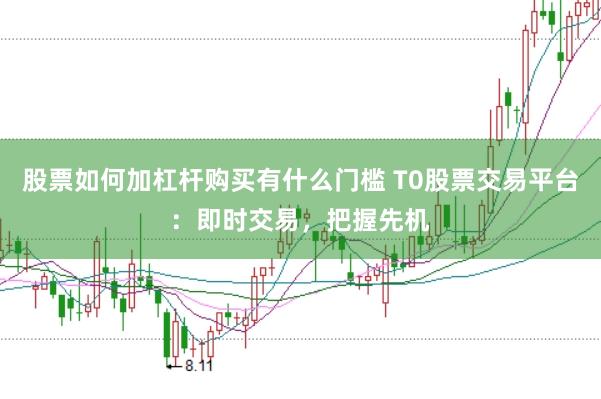 股票如何加杠杆购买有什么门槛 T0股票交易平台：即时交易，把握先机