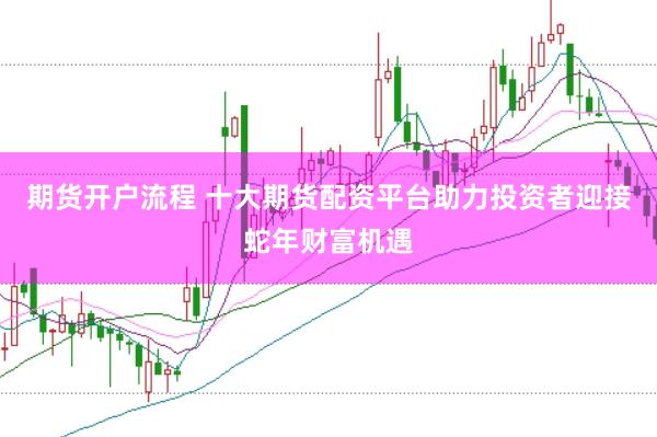 期货开户流程 十大期货配资平台助力投资者迎接蛇年财富机遇