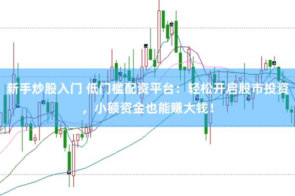 新手炒股入门 低门槛配资平台：轻松开启股市投资，小额资金也能赚大钱！