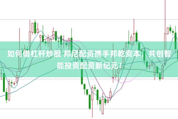 如何借杠杆炒股 邦尼配资携手邦乾资本，共创智能投资配资新纪元！