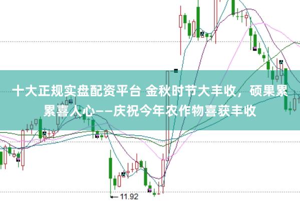 十大正规实盘配资平台 金秋时节大丰收，硕果累累喜人心——庆祝今年农作物喜获丰收