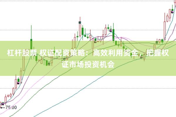 杠杆股票 权证配资策略：高效利用资金，把握权证市场投资机会
