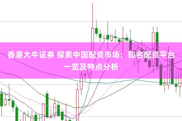 香港大牛证券 探索中国配资市场：知名配资平台一览及特点分析