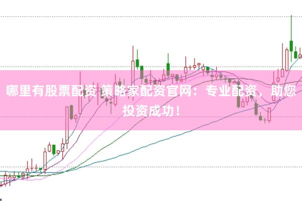 哪里有股票配资 策略家配资官网：专业配资，助您投资成功！