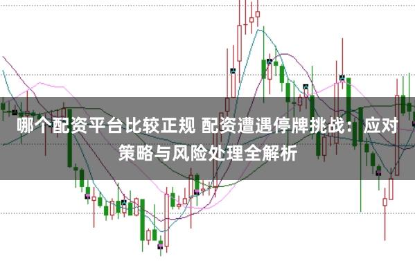 哪个配资平台比较正规 配资遭遇停牌挑战：应对策略与风险处理全解析