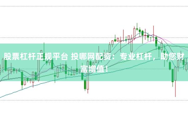 股票杠杆正规平台 投哪网配资：专业杠杆，助您财富增值！