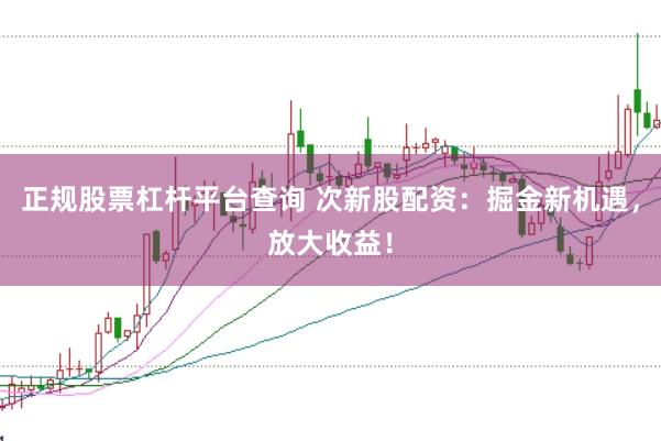 正规股票杠杆平台查询 次新股配资：掘金新机遇，放大收益！