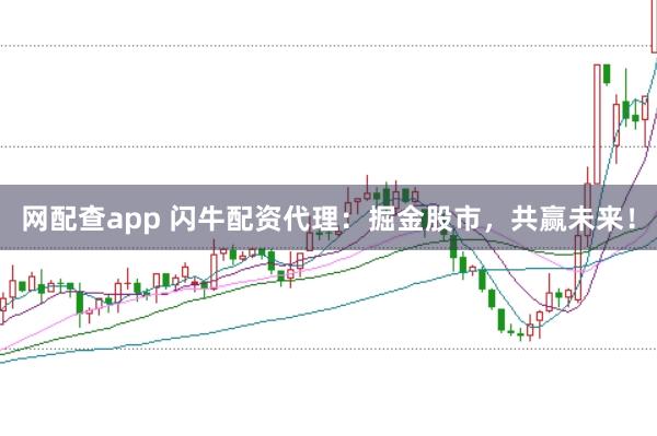 网配查app 闪牛配资代理：掘金股市，共赢未来！