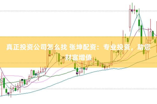 真正投资公司怎么找 张坤配资：专业投资，助您财富增值