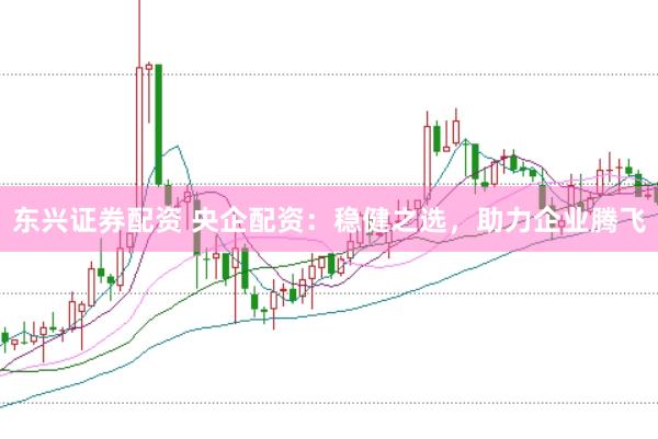 东兴证券配资 央企配资：稳健之选，助力企业腾飞