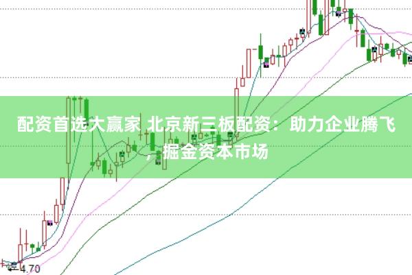 配资首选大赢家 北京新三板配资：助力企业腾飞，掘金资本市场
