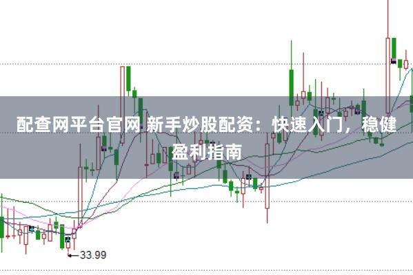 配查网平台官网 新手炒股配资：快速入门，稳健盈利指南