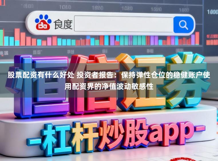 股票配资有什么好处 投资者报告:保持弹性仓位的稳健账户使用配资界的净值波动敏感性